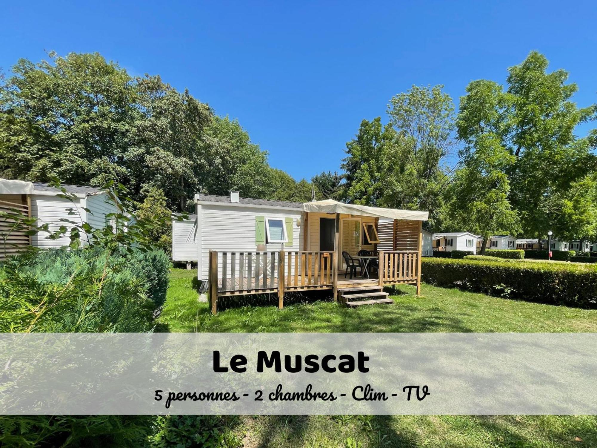 Le Muscat - Bungalow Pour 5 - Tv - Clim Boofzheim Camera foto